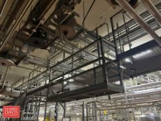 S/S Framed Catwalk with (3) Ladders, Platforms, Runs and Handrail, Dimensions = 125'+