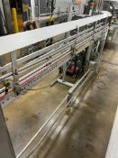 Serpentine S/S Framed Power Conveyor with S/S Hood, Dimensions = 17' x 3.5