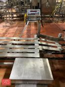 Rice Lake S/S Digital Scale, Dimensions = 18