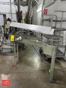 45° S/S Framed Power Conveyor with S/S Hood, Dimensions = 19' x 3.5