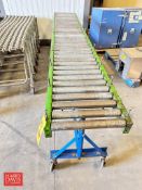 MTD Roller Conveyor, Dimensions = 120