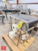 S/S Frame Accumulation Conveyor with Drive, Dimensions = 39