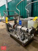 Positive Displacement Pump with 2