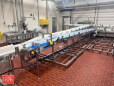 S/S Framed Dual-Lane Inclined/Declined Power Conveyor with Plastic Chain