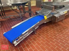 S/S Framed Power Conveyor with Pneumatic Press and Plastic Chain; Dimensions: 8' x 30