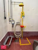 Bradley Eye Wash and Shower Station with Hose, Nozzle, Filter and Valves - Rigging Fee: $100