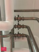 S/S Check Valves (This Room Only CIP Not Included) - Rigging Fee: $385