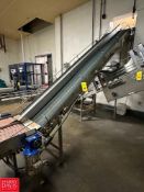 S/S Framed Dual-Lane Inclined Belt Conveyor: 12' x 1' with Drive - Rigging Fee: $500