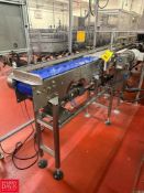 S/S Framed Belt Conveyor: 34