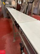 S/S Portable Framed Belt Conveyor with Drive: 19’ x 18