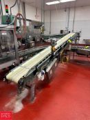 Hytrol Inclined Belt Conveyor: 15' x 12