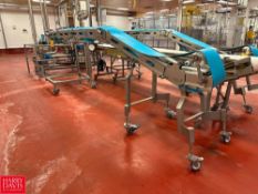 S/S Framed Portable Inclined Belt Conveyors: 15' x 18