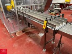 S/S Framed 4-Lane Conveyor: 10' x 18