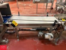S/S Framed Belt Conveyor: 66