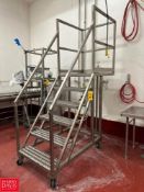 Portable S/S Framed Platform: 3' x 34