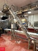 S/S Incline Conveyor: 9' x 10” with Drive - Rigging Fee: $300