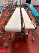 S/S Framed Incline Portable Belt Conveyors: 12' x 1' and 14' x 17