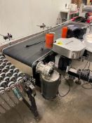 6' Length Portable Conveyor, 17