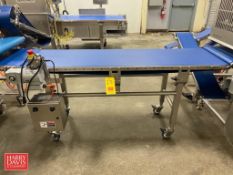 Quantum 6' Length Portable S/S Frame Conveyor with 20