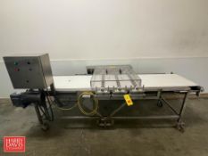 S/S Frame Portable Conveyor, 9' Length x 24
