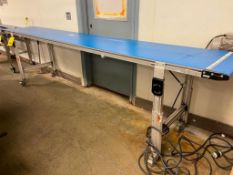 Dorner 2200 Series 12' Length Portable Adjustable Conveyor, 24