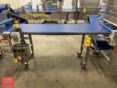 Quantum 6' Length Portable S/S Frame Conveyor with 20