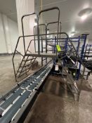 P.W. PLATFORMS CONVEYOR CROSSOVER PLATFORM