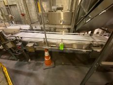 2-Lanes of Discharge Conveyor, Includes S/S Straights Sections with Plastic Interlock Belt, Straight