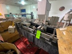 Straight Section of Check Weigher Conveyor (LOCATED IN LOS ANGELES, CA)(RIGGING, LOADING, & SITE