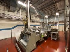 Custom Metal Design, Inc. Dual Infeed Automatic Bagger, with Control Panel with Allen-Bradley