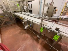 Straight Section of S/S Discharge Conveyor, with Aprox. 17-3/4” W Plastic Interlock Belt, Overall