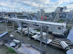 Straight Section of S/S Conveyor, with (2) Belts, Aprox. 12 ft. L on S/S Frame (LOCATED IN