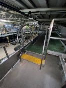 S/S Cross Over Platform, with Plastic Grating (LOCATED IN ATWATER, CA)