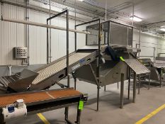 Lakewood Process Machinery Blower, M/N 14142-01, S/N 14-05431, with Incline Infeed Conveyor, with