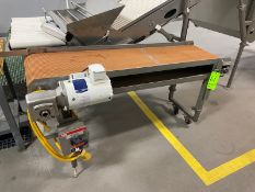 Straight Section of Discharge Conveyor, with Aprox. 68” L x 13” W Belt, with Baldor 1 hp Drive,