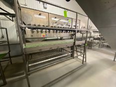 S/S Platform, with Handrails, Plastic Grating, Platform to Floor: Aprox. 42”, with S/S Handrails &