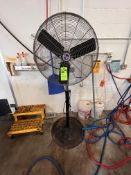 (2) PEDESTAL FANS