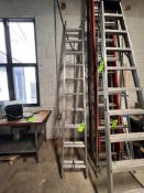 WERNER 20 FT. LADDER