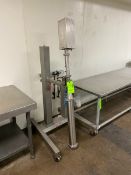 2012 REACH FOOD SYSTEMS S/S BARREL PUMP, M/N 11 14, S/N 1POIE, MOUNTED ON S/S FRAME (LOCATED IN