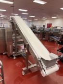 2019 RONDO PORTABLE INCLINE CONVEYOR, APPROX. 132 IN. L X 15 IN. W 82 IN. H (SUBJECT TO BULK BID