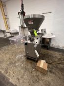 BULK BID: LOTS 15-17 (VACUUM FILLER, WATERWHEEL, ASSOCIATED CONVEYOR)