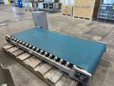 S/S Roller Conveyor,