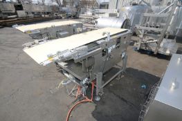 S/S Conveyor, Aprox. 6 ft. L with 19.5