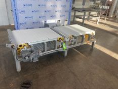 Dual Section Conveyor,with Aprox. 30