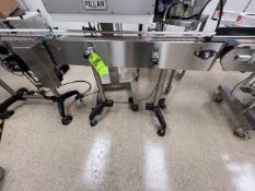 STRAIGHT CONVEYOR SECTION, APPROX. 4 IN. W X 48 IN. L