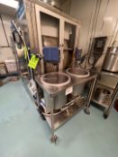 MIXING SKID WITH (2) MIXING TANKS EQUIPPED WITH IKA LAB MIXERS, MODEL EURO-ST 60 D AND MASTERFLEX