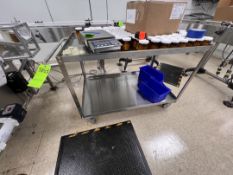 DAYTON S/S PUSH CART, MODEL 11A464, 1,200 LB CAPACITY, ON CASTERS, APPROX. 48 IN. L X 30 IN. W X