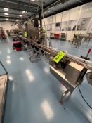 STRAIGHT CONVEYOR SECTION, APPROX. 33 FT. L X 4-1/2 IN. W