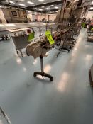 APPROX. 18 FT. STRAIGHT CONVEYOR SECTION, INCLUDES DRIVES AND VARIABLE SPEED CONTROLLERS