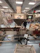 MODULAR PACKAGING SYSTEMS (MPS) 12-LANE PILL / CAPSULE COUNTER, MODEL VC-12, S/N M3017-223, 1-PHASE,